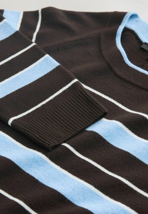 Brązowy sweter dziany z poziomymi paskami w jasnoniebieskim i białym kolorze. Ściągacze na mankietach i dekolcie. Miękka faktura, swobodny fason.