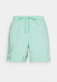 Shorts vert menthe en tissu léger. Ils présentent une taille élastique avec un cordon de serrage, offrant une coupe décontractée et une texture lisse.