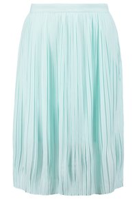 Gonna midi plissettata di un leggero colore menta, realizzata in tessuto morbido. Presenta pieghe verticali e una vita aderente per una silhouette fluida.