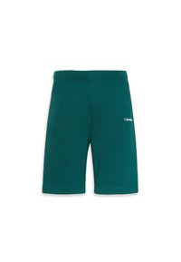 Shorts de sport teal avec une taille élastique, présentant une texture lisse et un petit logo blanc sur le côté droit à l'avant.