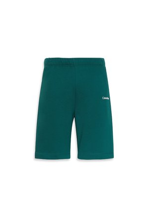 Calvin Klein Tepláky - turf