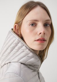 Save the duck ALEXA - Giacca da mezza stagione - fog grey