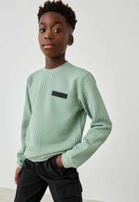 Baker by Ted Baker REGULAR FIT - Mikina - green