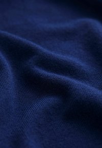 Next SHORT SLEEVE REGULAR FIT - Poloshirts - blue