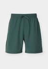 FORM SHORT - Sportiniai šortai - vintage green/black