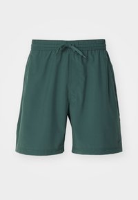 FORM SHORT - Calções desportivos - vintage green/black
