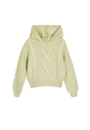 Hoodie lavorato a maglia verde chiaro con design a trecce, scollo a V e polsini a coste. Texture morbida e vestibilità corta con cappuccio strutturato.
