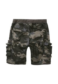 Maskuojančios trumpos kelnės tamsiai žalia ir pilka spalvomis, su elastinga juosmens juosta, daug kelių kišenių ir sagų užsegimais. Medvilnės audinys su tekstūruotu paviršiumi.