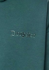 Grüner Kapuzenpullover mit einem gestickten Logo "Dropsize" in dunklerem Grünton, mit rundem Halsausschnitt und glatter Textur.