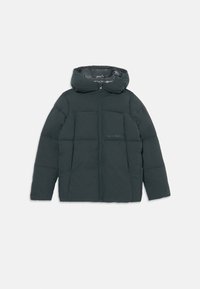 Nevybráno, forest river