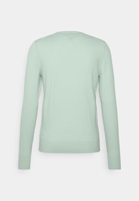 Helles grünes, langärmeliges Pullover-Sweatshirt aus weichem Material. Verfügt über einen runden Halsausschnitt und einen gerippten Saum, mit einer glatten Textur.