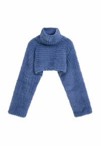 Sinine lühike kõrge kaelusega kampsun, tehtud pehmest ja karvasest kangast. Omab pikki varrukaid ja tekstuuriga mustrit üle kogu pinna.