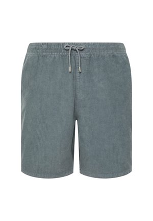Pantaloncini in velluto a coste grigi con vita elastica e coulisse, lunghezza al ginocchio, senza loghi o motivi visibili, mostrati frontalmente.