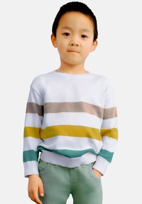 Maglione a righe multicolore con strisce bianche, grigie, gialle e turchesi. Tessuto a maglia morbido con scollatura rotonda, indossato sopra pantaloni verde chiaro.