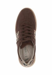 Caprice SNEAKER - Sneakers basse - dk brown comb