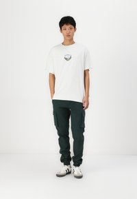 Grå T-skjorte med en grønn 'COLORADO'-grafikk, parret med mørkegrønne cargo-bukser med sidelommer og elastiske mansjetter. Hvite sneakers.