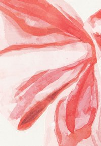 Illustrazione ad acquerello di petali rosa sovrapposti con morbide texture e sfumature, su uno sfondo chiaro e texturizzato.