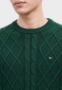 Homme portant un pull en maille torsadée vert foncé avec un motif en losange et un petit logo rectangulaire rouge, blanc et bleu sur la poitrine.