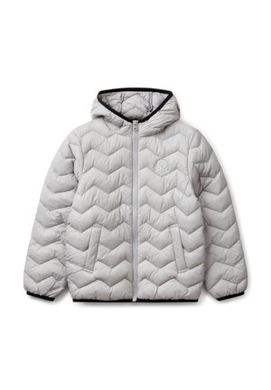 PADDED WITH HOOD - Winterjacke - grey