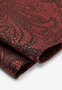 TEXTURED PAISLEY SET - REGULAR FIT - Kapesník do obleku - rust orange