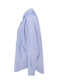 Light blue striped shirt featuring vertical red stripes, button-up collar, long sleeves, and a relaxed fit with a curved hem.