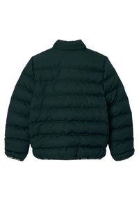 Tmavozelená prešívaná bunda s horizontálnym prešívaním, dlhými rukávmi a stojačikovým golierom, pohľad zozadu.