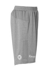 Grijze sportshorts gemaakt van vochtafvoerend materiaal, voorzien van een elastische tailleband, zijzakken en bedrukkingen met logo-accenten.