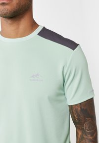 Lichtgroen sportshirt met een gestructureerde afwerking, donkergrijze schouderpanelen en een lavendelkleurig berglogo op de borst. Korte mouwen.