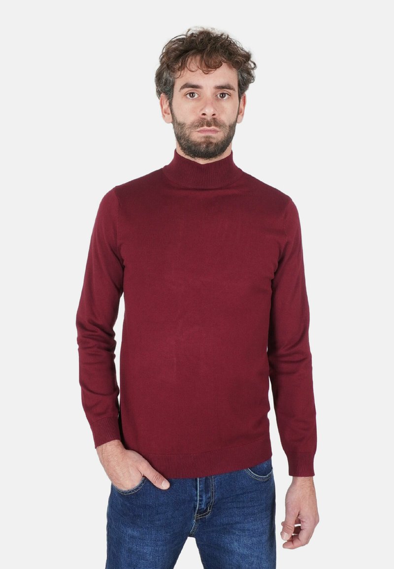 Maglione dolcevita bordeaux, maniche lunghe, collo e polsini a coste, tessuto liscio, abbinato a jeans blu.