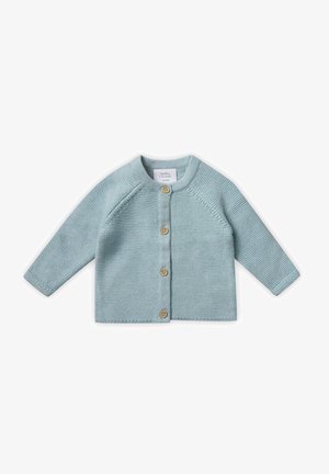 Cardigan lavorato a maglia di un blu chiaro con maniche lunghe, colletto rotondo e bottoni di legno sul davanti. Presenta un motivo in maglia testurizzato.