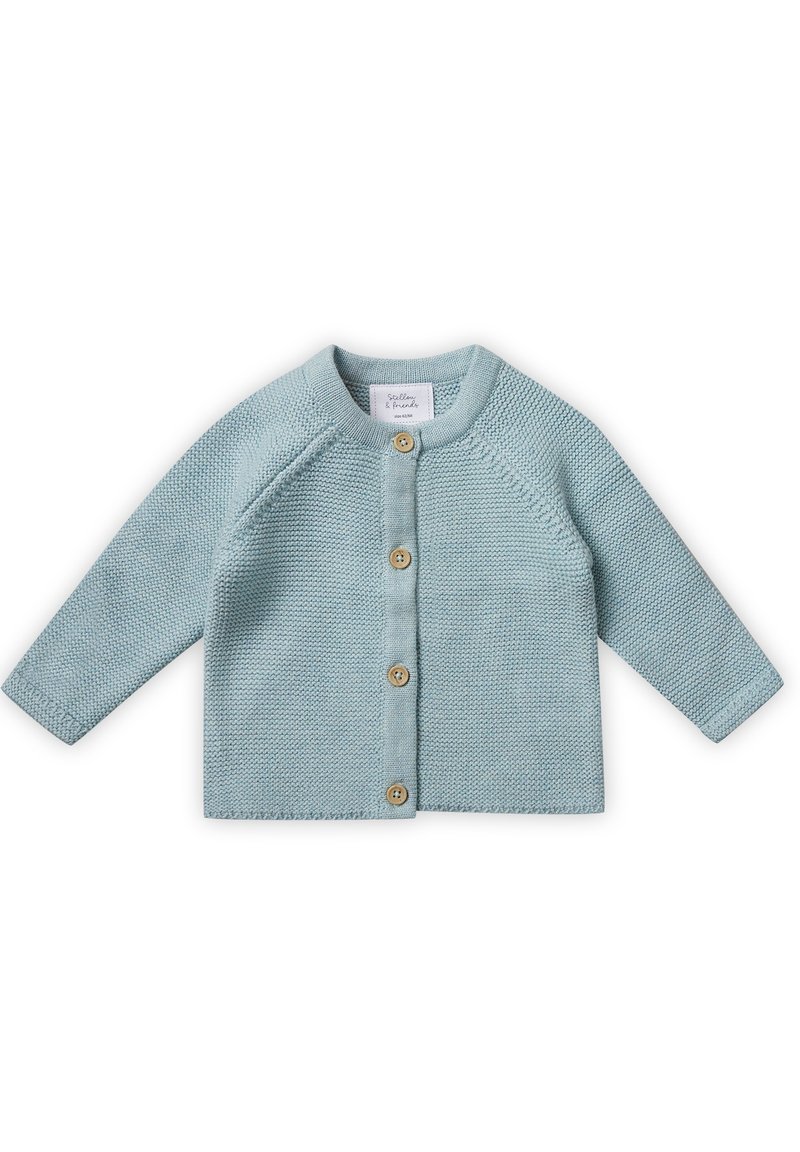 Cardigan lavorato a maglia di un blu chiaro con maniche lunghe, colletto rotondo e bottoni di legno sul davanti. Presenta un motivo in maglia testurizzato.