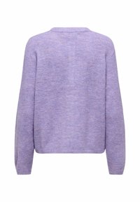 Pull violet en tricot avec une coupe légèrement ample, un col rond et des manches longues. Texture douce avec une finition chinée subtile.