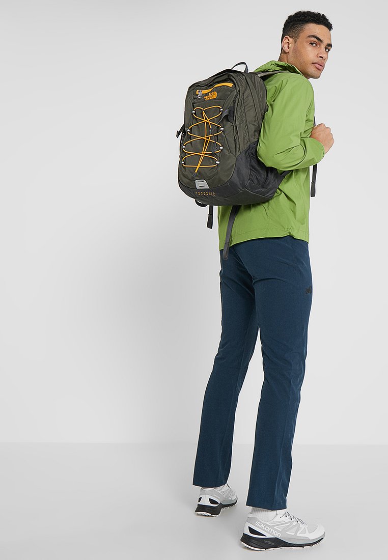 borealis new taupe green