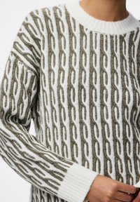 Pull en maille avec un motif de chaîne verticale en vert olive et blanc. Encolure ronde et poignets côtelés, texture douce avec un design en maille épaisse.