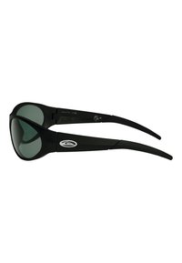 Quiksilver ELLIPSE P - POLARISIERTE  - Slnečné okuliare - black green plz