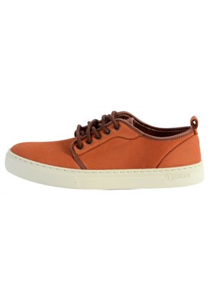 Trainers - bronze