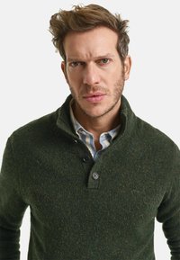 Dunkelgrüner Strickpullover mit hohem Kragen und zwei Knöpfen, getragen über einem blau-weiß gestreiften Hemd. Hat einen strukturierten, durchlässigen Stoff.