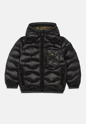 BRINTON JUNIOR - Winter jacket - black/green forest