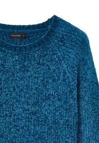 Pull en maille bleu avec un fil texturé et moelleux. Présente un col rond et des manches raglan, mettant en avant une apparence douce et confortable.