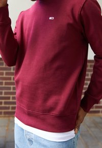 Felpa color bordeaux con scollo rotondo, polsini e orlo a coste. Presenta un piccolo logo sul petto. Indossata sopra una camicia bianca.