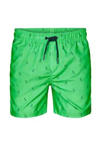 Petrol Industries Zwemshorts - andean toucan