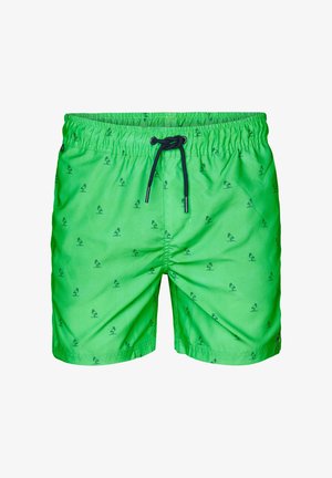 Petrol Industries WAVECRESTVIEW - Zwemshorts - andean toucan