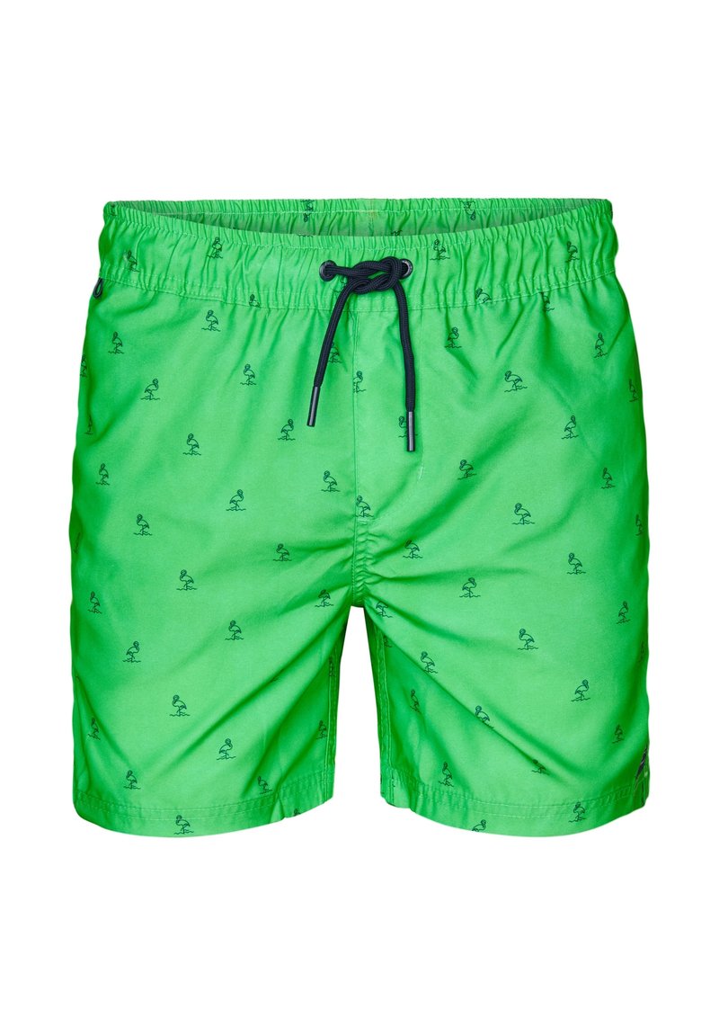 Petrol Industries Zwemshorts - andean toucan