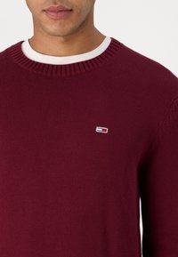 Pull en maille bordeaux avec un col rond et des poignets côtelés. Présente un petit logo de marque sur la poitrine gauche.