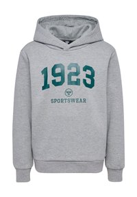 Grijze hoodie met een gestructureerde afwerking, voorzien van een grote groene "1923" opdruk en "SPORTSWEAR" eronder. Het heeft een capuchon met trekkoord en ribgebreide manchetten.