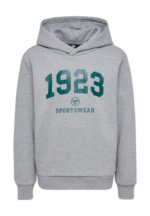 Grijze hoodie met een gestructureerde afwerking, voorzien van een grote groene "1923" opdruk en "SPORTSWEAR" eronder. Het heeft een capuchon met trekkoord en ribgebreide manchetten.