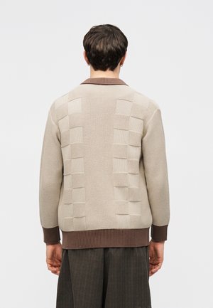 Persoon draagt een beige gebreide trui met geruit gestructureerd patroon, bruine kraag en manchetten, gezien van achteren tegen een effen achtergrond.