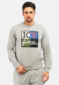 Grauer Sweatshirt mit langen Ärmeln, mit einer auffälligen Blockgrafik in Grün, Blau, Rot und Schwarz, die "ICE IceBERG" liest. Glatte Textur.