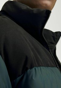 Jack & Jones JJMOON PUFFER - Ziemas jaka - magical forest