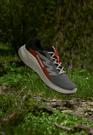 Salomon, ALPHAGLIDE GTX - Laufschuh Trail - castlerock/lunar rock/cherry tomato